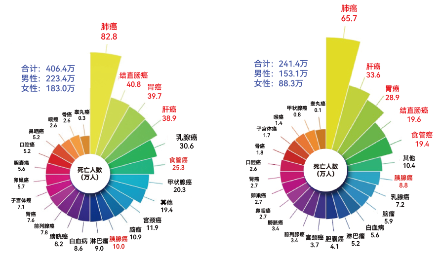 2管血，1次检测高发六癌