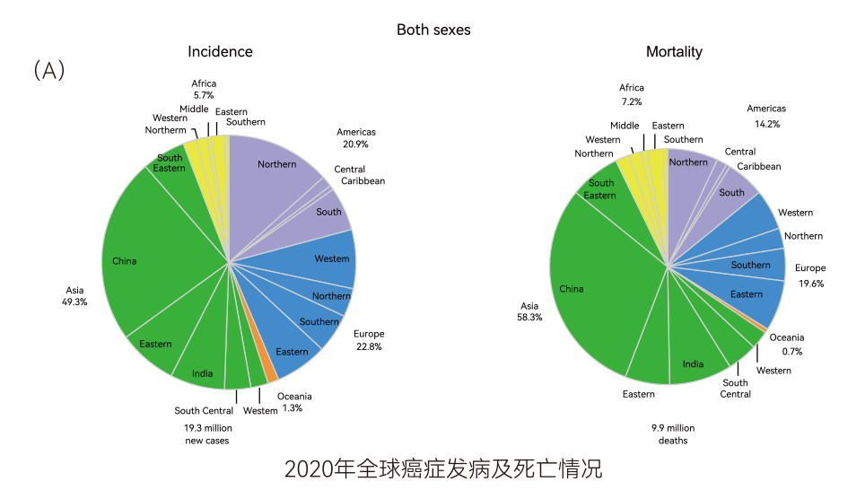 一管血 · 三种癌 | 肠胃肝消化三癌联检可有效降低高发癌发病率和死亡率