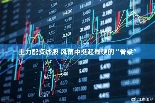 主力配资炒股 风雨中挺起最硬的“脊梁”