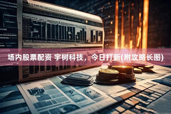 场内股票配资 宇树科技，今日打新(附攻略长图)